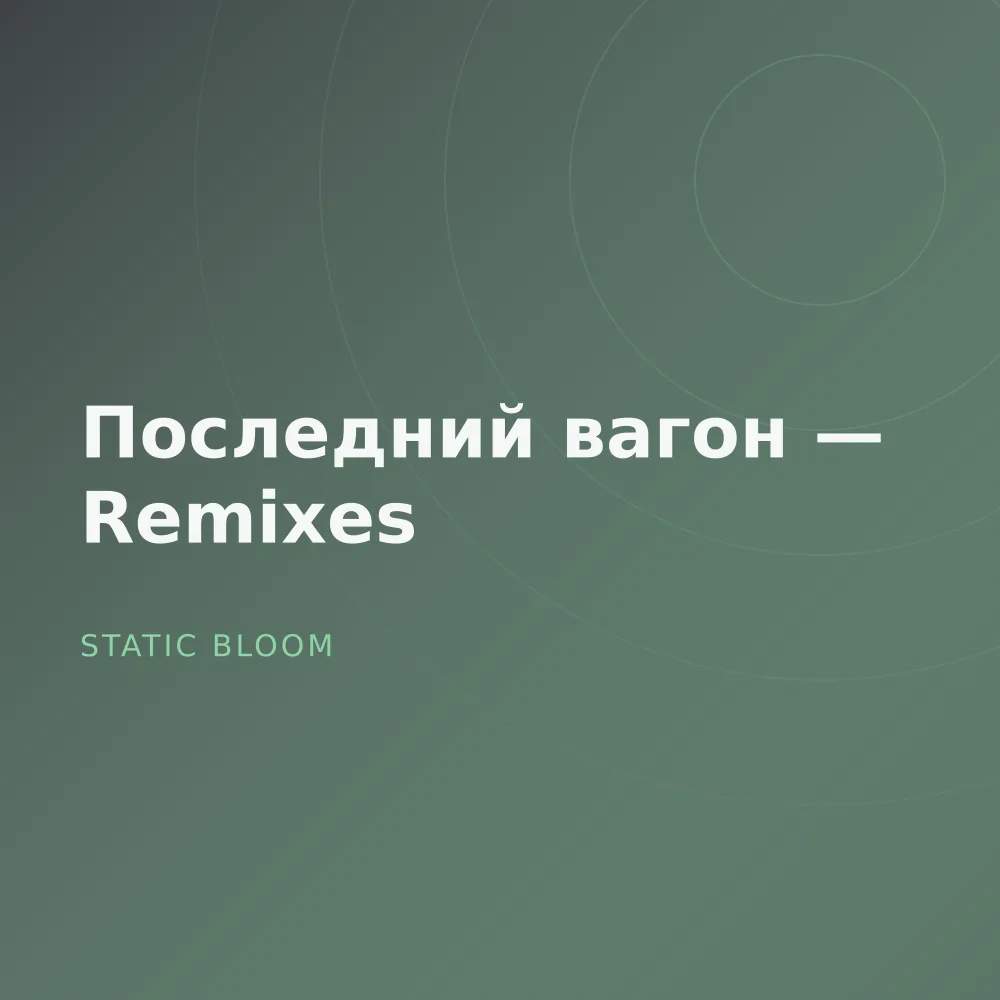 Последний вагон — Remixes