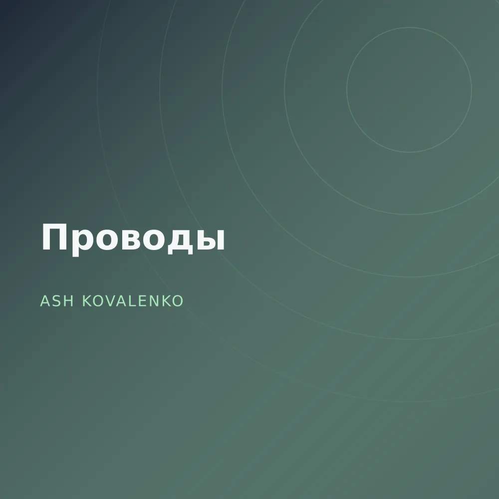 Проводы