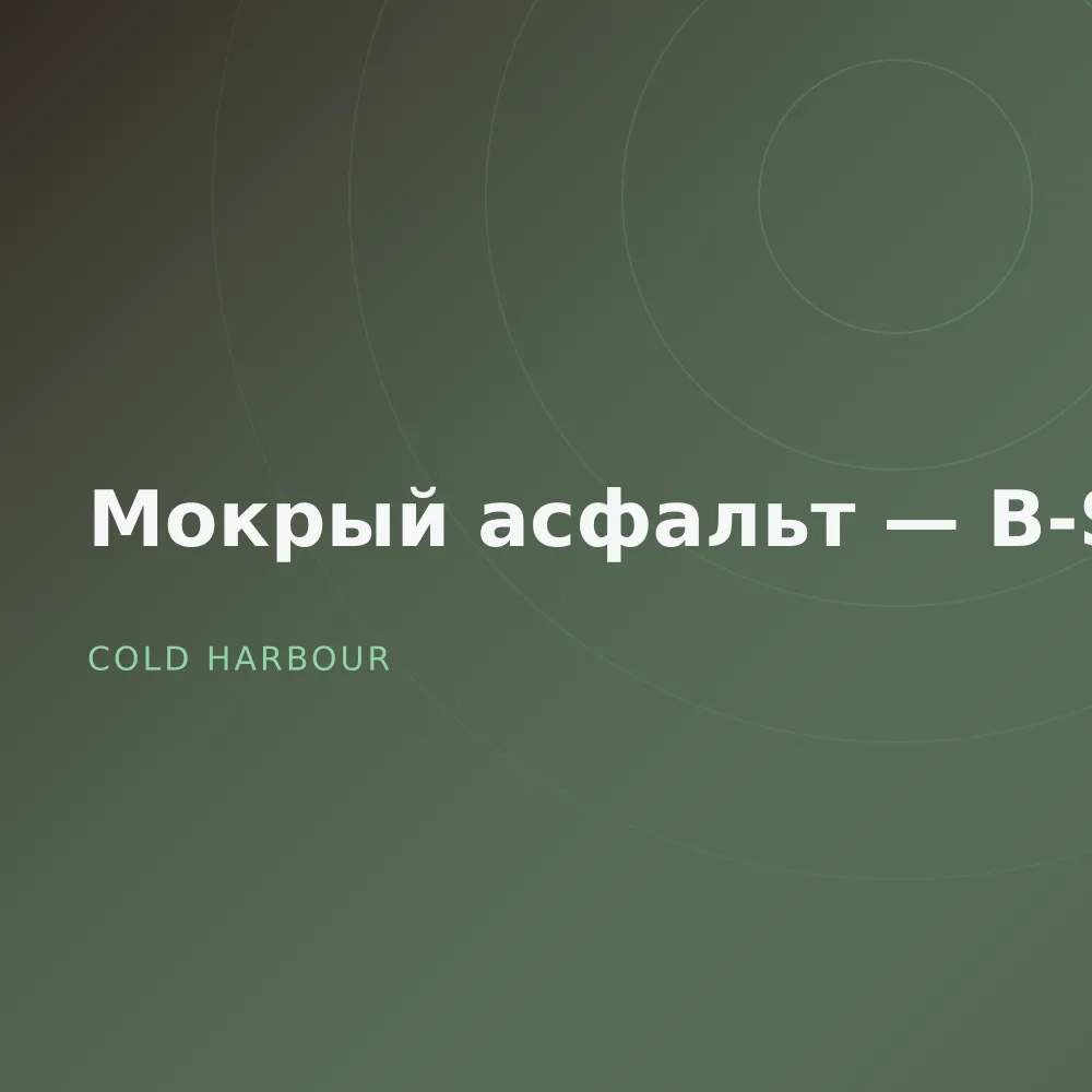 Мокрый асфальт — B-Sides