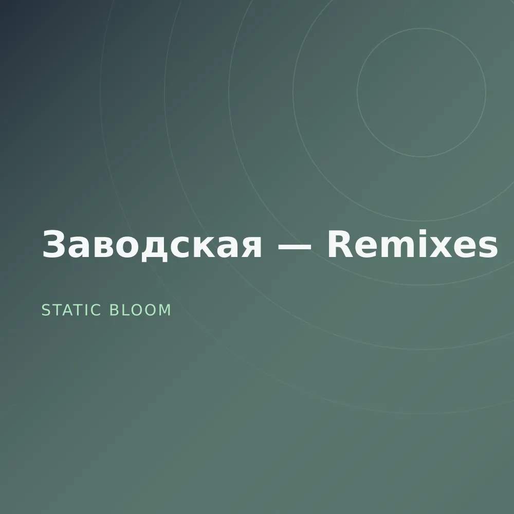 Заводская — Remixes