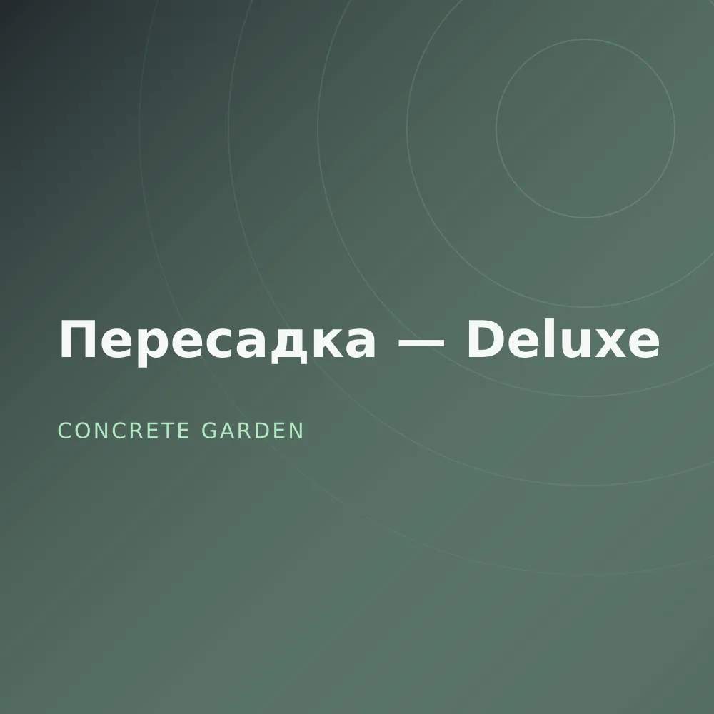 Пересадка — Deluxe