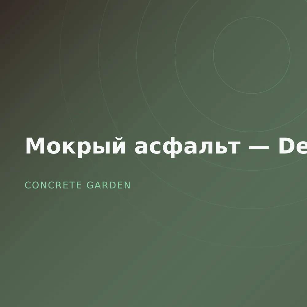 Мокрый асфальт — Deluxe