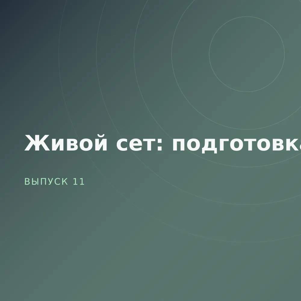 Живой сет: подготовка