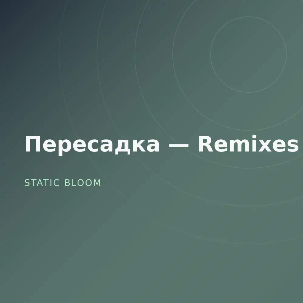 Пересадка — Remixes