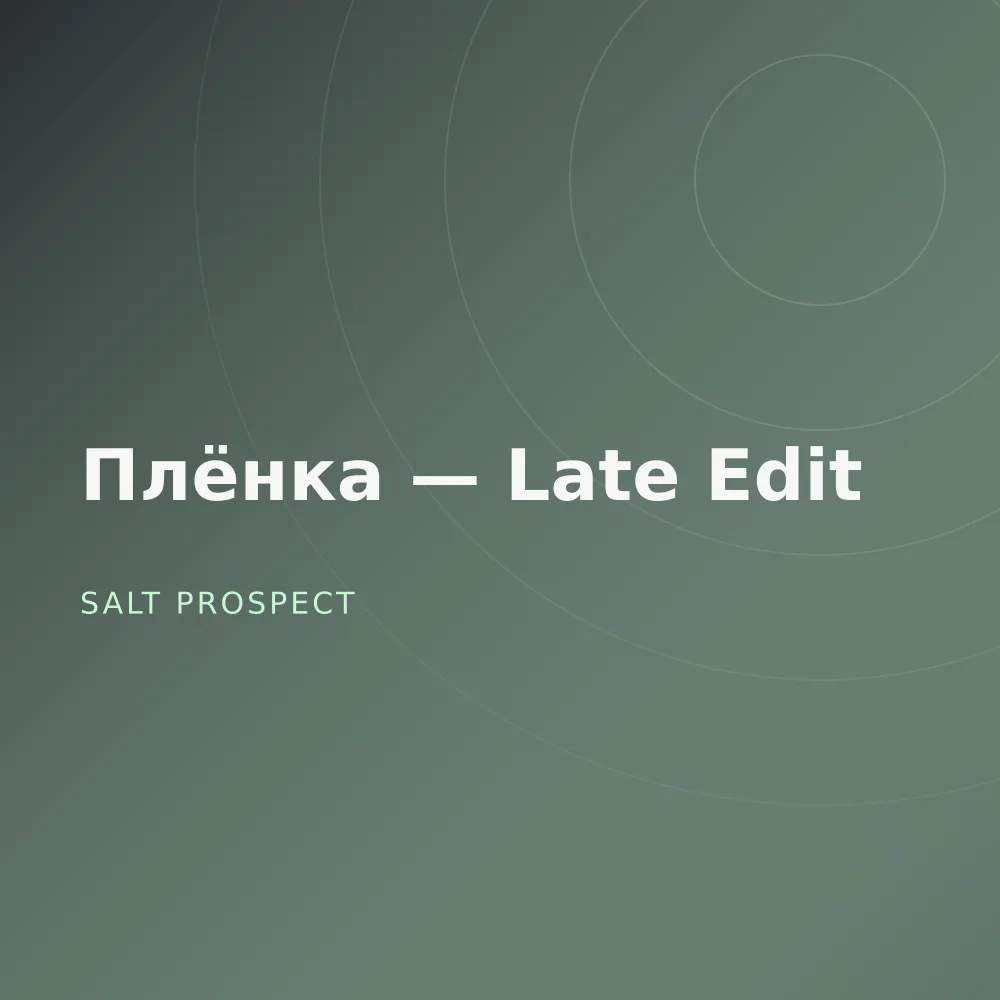 Плёнка — Late Edit