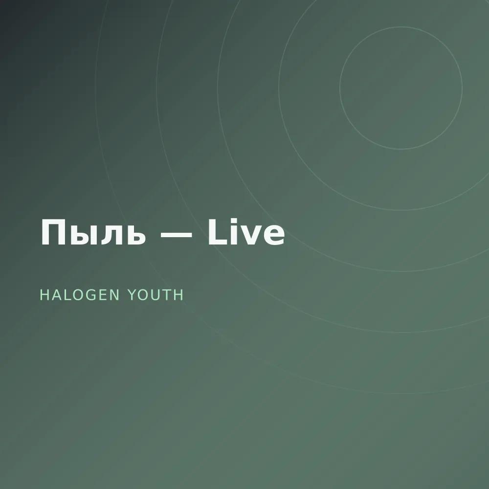 Пыль — Live