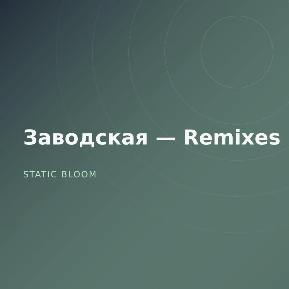 Заводская — Remixes