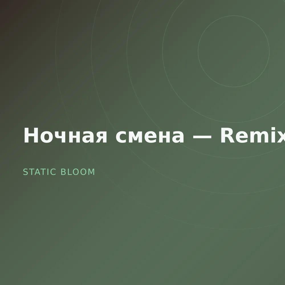 Ночная смена — Remixes