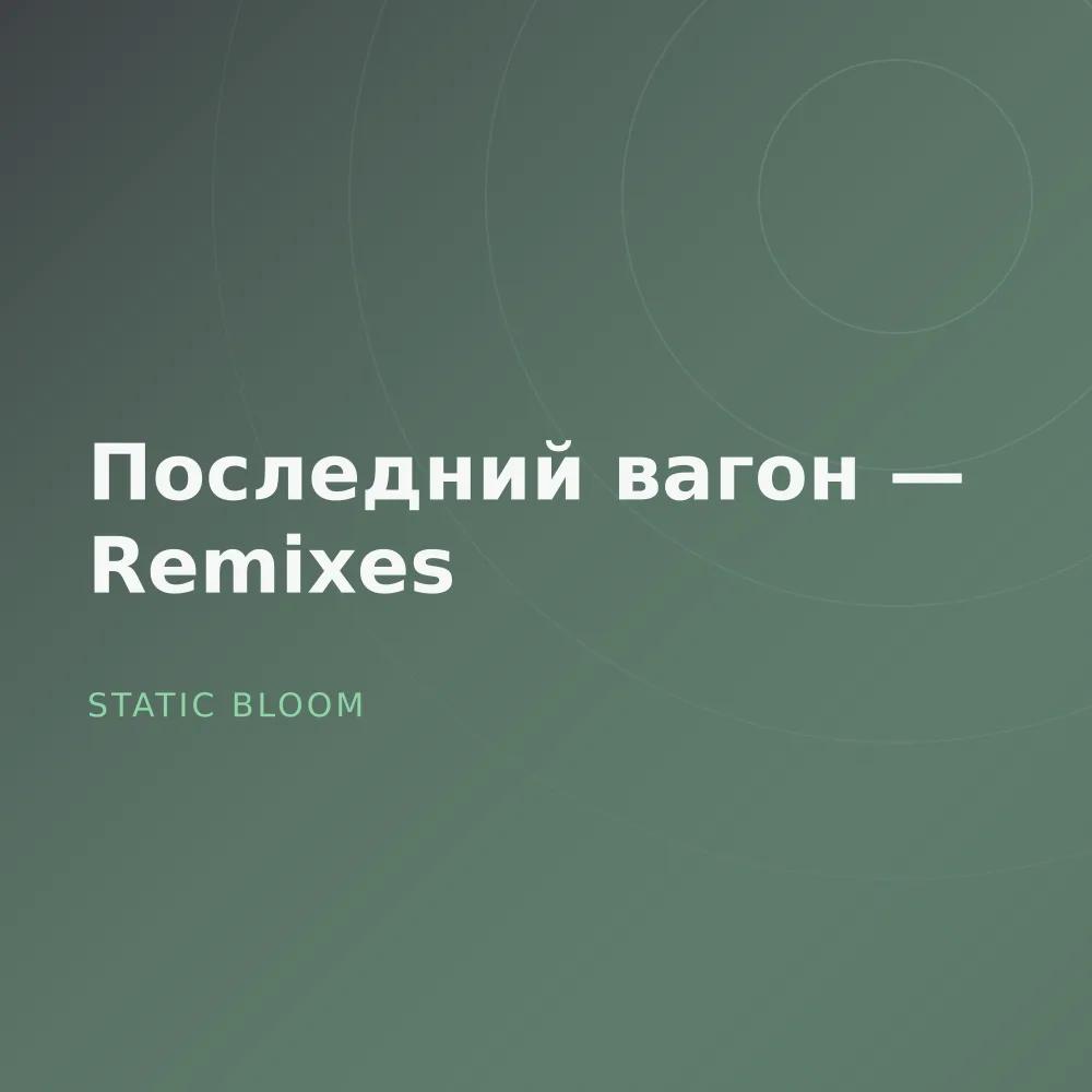 Последний вагон — Remixes