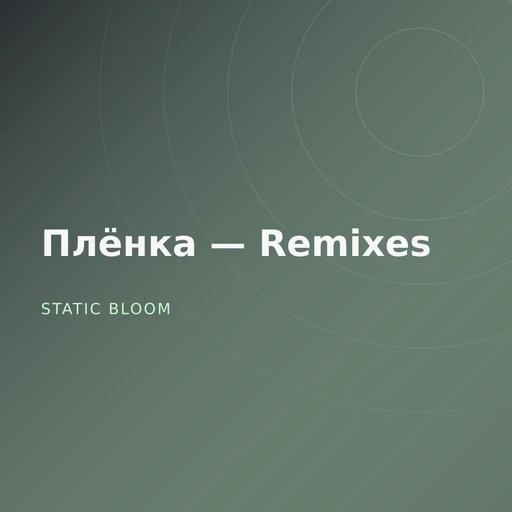 Плёнка — Remixes