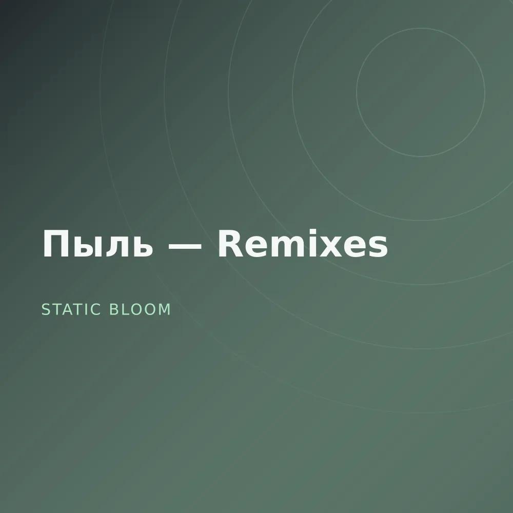 Пыль — Remixes