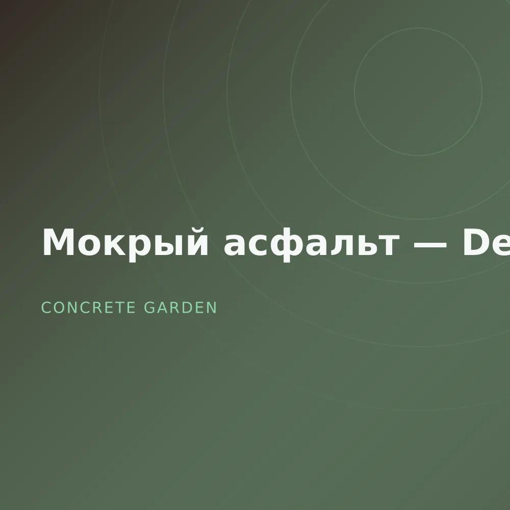 Мокрый асфальт — Deluxe