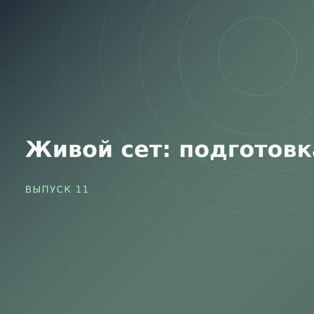 Живой сет: подготовка